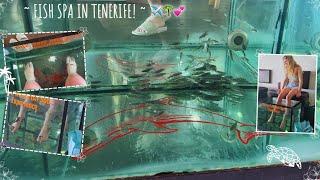 Tenerife - Fish Spa 