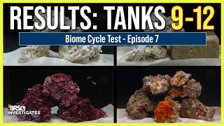 Ep 7 Best Biome Cycle? Aquaforest Life Source vs. Real Reef vs. Gulf Rock vs. MarinePure Brick