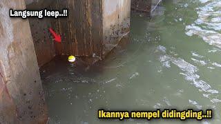 Luar biasa.. pelampung nempel kedingding langsung leep  pltu dam ijo