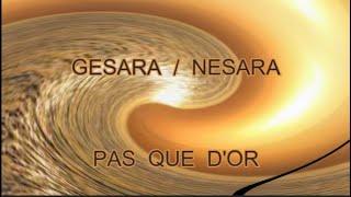 #GESARA  #NESARA  PAS QUE DOR