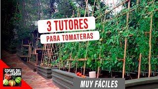 COMO GUIAR TOMATES Y ENTUTORADO - FACIL Y ECONOMICO ft. en20metros 