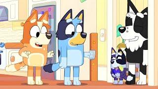 Bluey New Episodes In 2024 Revealed After The Surprise Episode