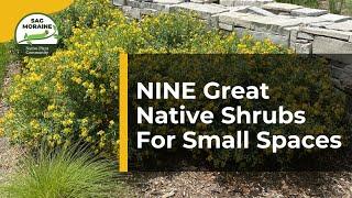 9 Great Native Shrubs For Small Spaces​