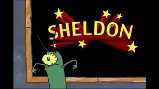 ⭐️SHELDON⭐️