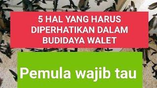 5 HAL DASAR UNTUK PEMULA -PETANI WALET @semuatentangwalet