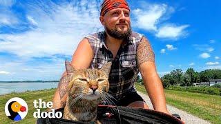 Guy Finds A Stray Kitten Bikes Around The World With Her For Two Years  The Dodo Soulmates