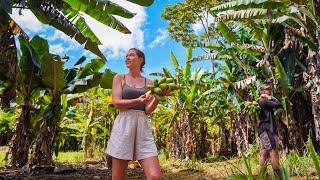 THE START OF OUR OFF-GRID HOMESTEAD IN THE JUNGLE