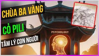 Chùa Ba Vàng - Cỏ Pili - Tâm lý con người Dưa Leo DBTT