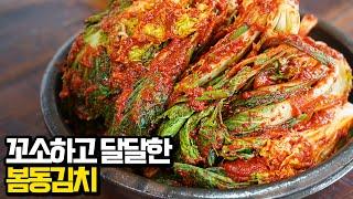 지금은 얼갈이김치보다 10배 맛있는  봄동김치