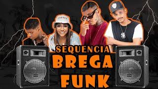 SEQUENCIA BREGA FUNK -  SELEÇÃO DAS TOPS PARA O CARNAVAL 2024