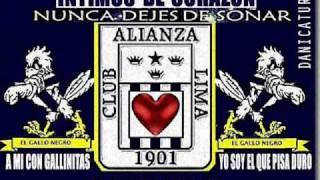 Alianza a ritmo de Reggae