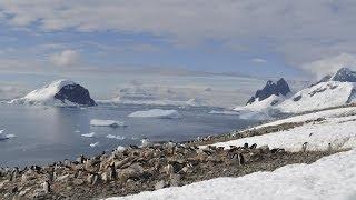 Antarctica the frozen kingdom Antarctic Wildlife Documentary