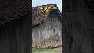 Kampung Jawa kuno#shorts