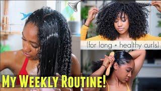 My Weekly Natural Hair Regimen How I Refresh + Maintain EVERYDAY Definition Long + Healthy