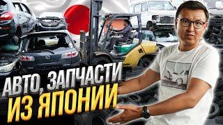 АВТО Бизнес в ЯПОНИИ – Бесплатная СВАЛКА бу АВТО?