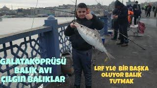 LRFKAMIŞI İLE KÖPRÜDEN YEMLİ İRİ BALIK AVI