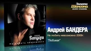 Андрей Бандера - Любимая Audio