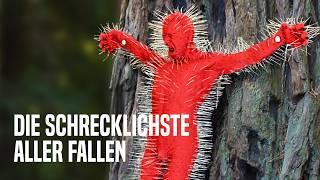 Die schrecklichsten Fallen aus dem Vietnamkrieg