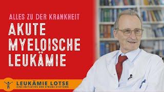 Akute myeloische Leukämie alles über die Krankheit