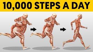 What 10000 Steps a Day Does To Your Body