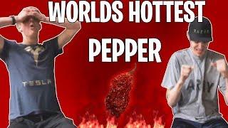 EATING THE WORLDS HOTTEST PEPPER 2019
