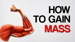 How to Build Muscle Quickly and Effectively