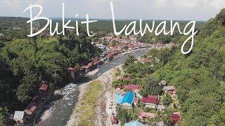 Bukit Lawang Sumatra - A hidden village of friendly people and beautiful nature
