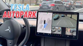 Tesla Autopark Vision-Based - Parallel & Perpendicular Parking Tests