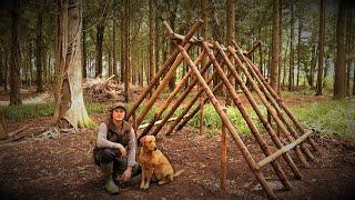 NEW BUILD Building a Woodland Viking House Bushcraft Shelter with my Dog  Hand Tools  Axe  Ep.1