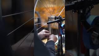 Among Pedals - Hologram Microcosm at Utility Bicycle Works