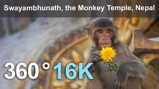 Swayambhunath the Monkey Temple Kathmandu Nepal. 16K 360 video.