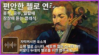 편안한 첼로 연주곡 모음 힐링 클래식 독서 공부할때 일할때 잠잘때 듣기 좋은 음악