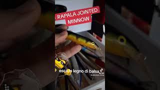 rapala jointed minnow #pesca #fishing #rapala #rapalafishing