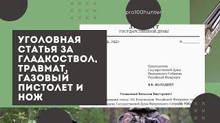 Изменения в 222 УК РФ незаконный оборот оружия