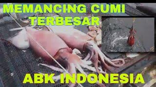 memancing cumi terbesar diperairan peru