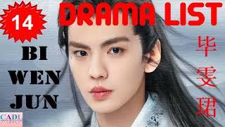 毕雯珺 Bi Wen Jun  Drama List  Bi Wenjun s all 14 dramas  CADL