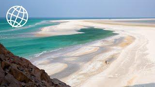 Socotra Yemen  Amazing Places 4K