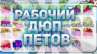 НОВЫЙ  ДЮП ПЕТОВ  PET SIMULATOR X БЕЗ ЧИТОВ И СКРИПТОВ КАК ДЮПАТЬ ПЕТОВ?