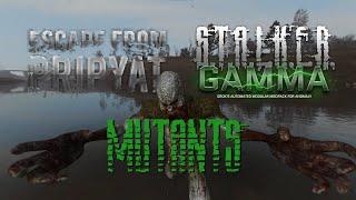 The Ultimate Mutant Guide  S.T.A.L.K.E.R. Anomaly EFP and GAMMA