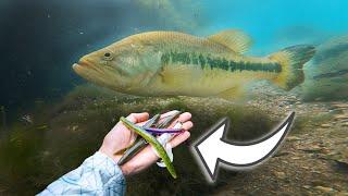 Top 5 BED FISHING Lures For MORE BASS UNDERWATER FOOTAGE