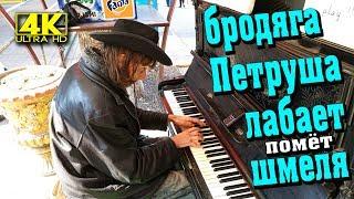 БОМЖ или ВИРТУОЗ • ЛАБАЕТ помёт или полёт ШМЕЛЯ • Tramp VIRTUOZ plays a flight of BUMBLE