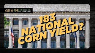 183bpa Corn Yield? USDA to Release Bearish Projections