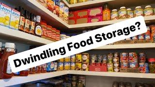 Pantry Tour  Family of 10  Food Storage