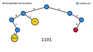 Bit String Radix Tree Trie Insertion