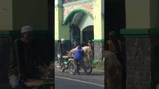 GAK BAHAYA TA ?KAMBING NAIK BECAK #gakbahayata? #funnyvideo #aneh