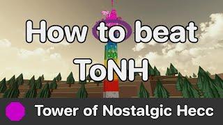 WTHITT - Tower of Nostalgic Hecc ToNH guide