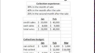 LECTURE  cash budget