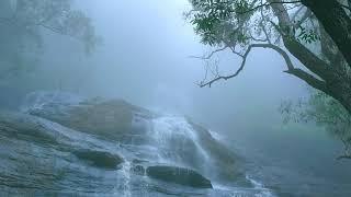 Yercaud Kiliyur Falls