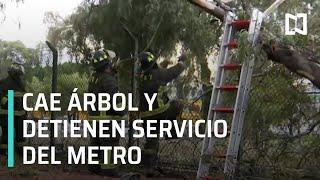 Cae árbol y detienen servicio de la Línea 3 del Metro - Las Noticias