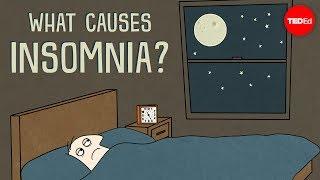 Wat veroorzaakt slapeloosheid? - Dan Kwartler